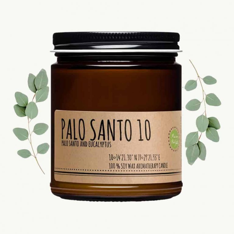 Palo Santo Candle  4 oz